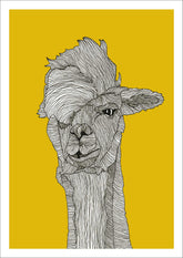 Lama Res